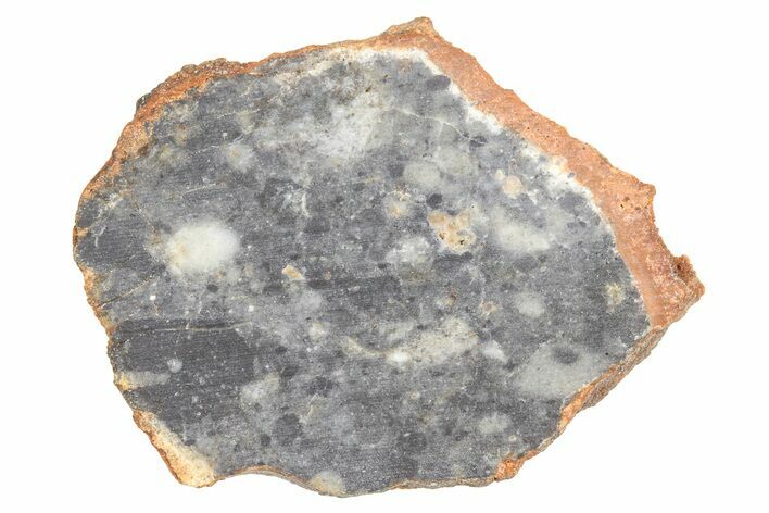 Lunar Meteorite ( g) Slice - Bechar #381619
